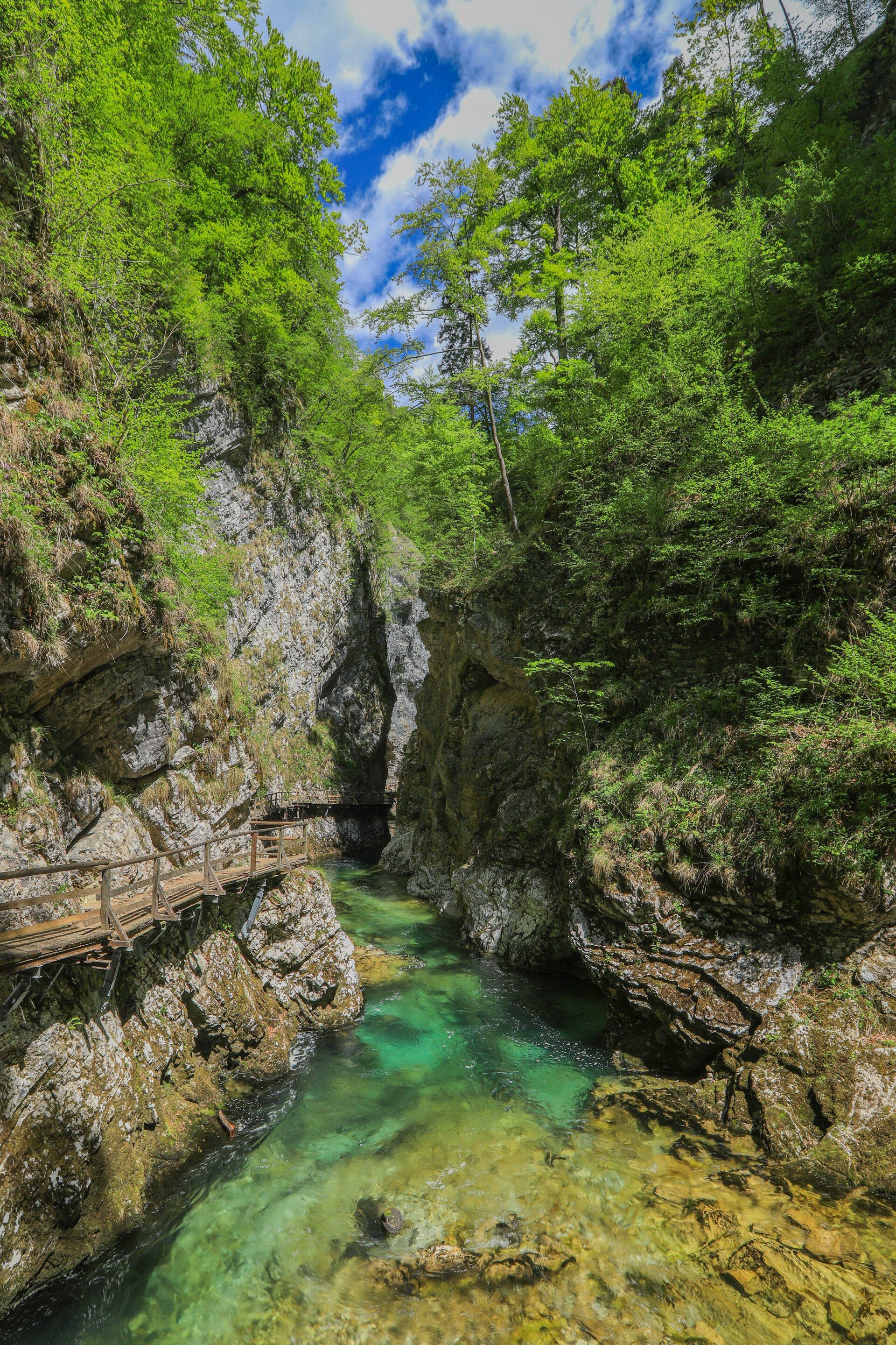 Vintgar Gorge Walk